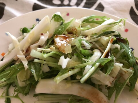 水菜と白菜とキャベツとセロリのグリーンサラダ